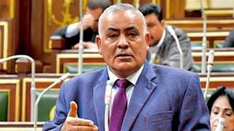  النائب لطفي شحاتة