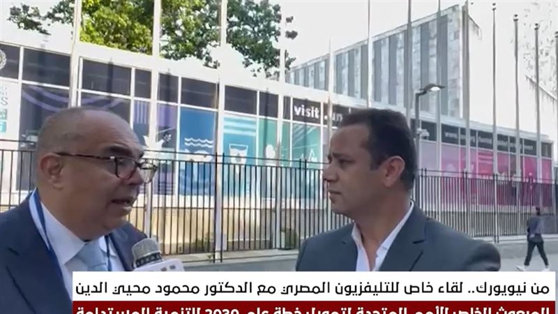 الدكتور محمود محيي