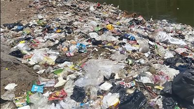 القمامة تحاصر الشوارع.. أهالي حوض العمدة بقليوب يستغيثون بمحافظ القليوبية