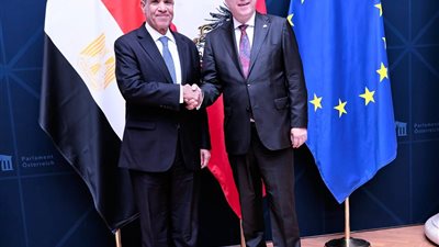 من الهجرة إلى غزة.. ملفات إقليمية ودولية على طاولة مباحثات عبد العاطي في فيينا