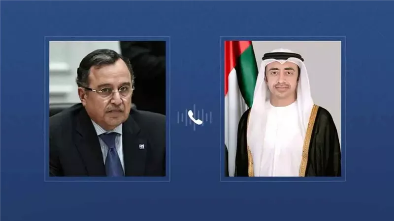 وزير الخارجية الإماراتي
