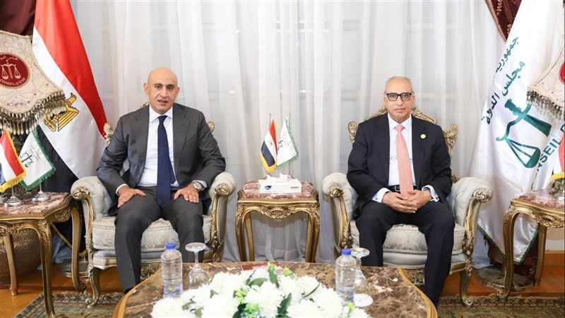 رئيس مجلس الدولة