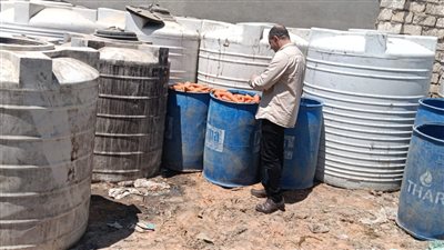 حماية المستهلك يظبط ٢طن مخللات غير صالحة للأستهلاك الأدمي بالشرقية