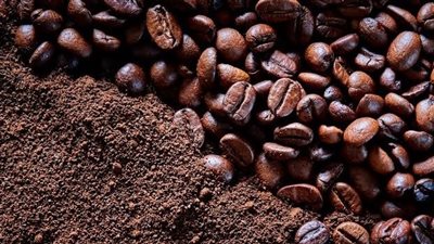 مصطفى الشيخ يوضح لـ «نيوز رووم» حقيقة تصريحاته بشأن 80% من تجار البن غشاشون