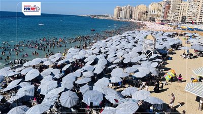 رايات صفراء وحمراء على أغلب شواطئ الإسكندرية وتحذيرات للمصطافين