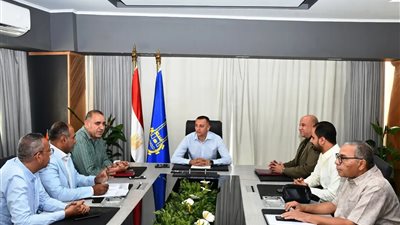 محافظ أسوان يتابع مشروع إحلال وتجديد مساكن المغتربين بمركز نصر النوبة 