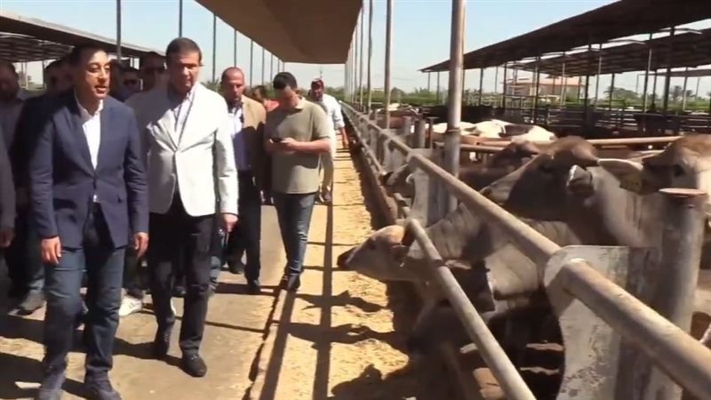 رئيس الوزراء خلال