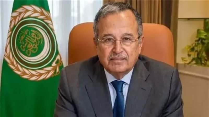 نبيل فهمي