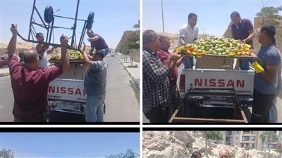 «ليه تاخدوا منه العربية؟».. قصة بائع تين شوكي تثير تعاطف المصريين