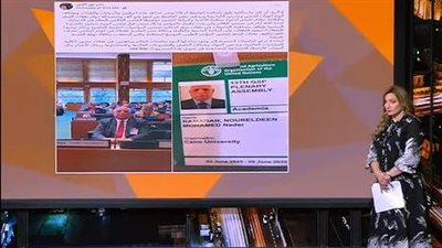 نادر نور الدين: لا أكلف الدولة عملة صعبة عند السفر للمؤتمرات العلمية