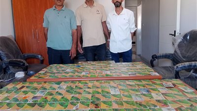 قبضة رقابية تُحكم السيطرة على منظومة الخبز المدعم بالغربية 