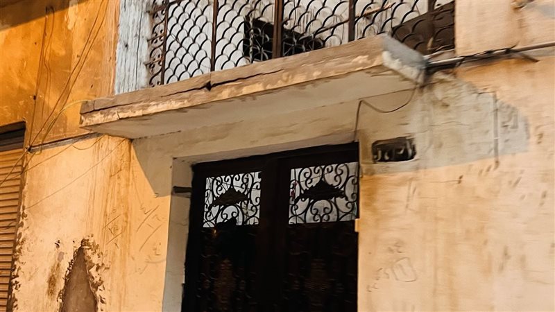 ارشيفية