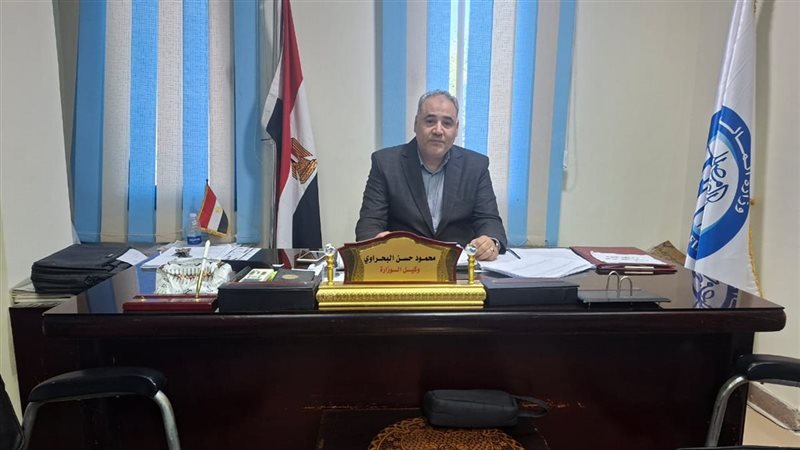 محمود حسن البحراوي