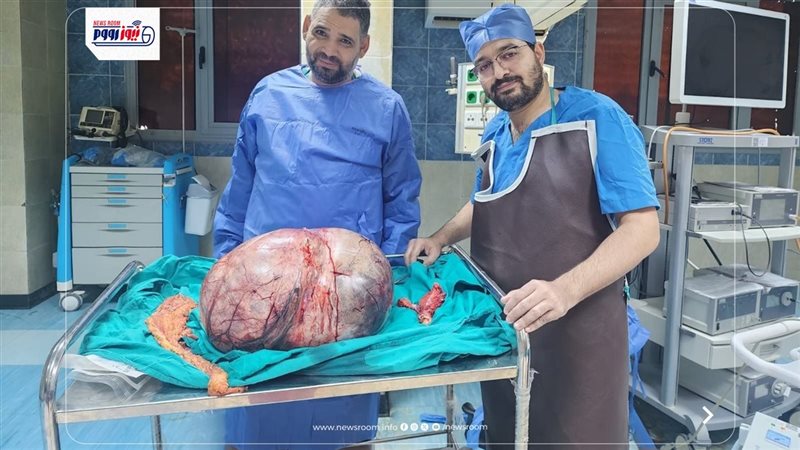 جامعة المنيا 