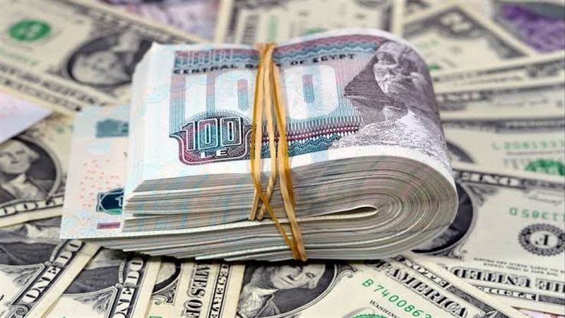 سعر الدولار اليوم