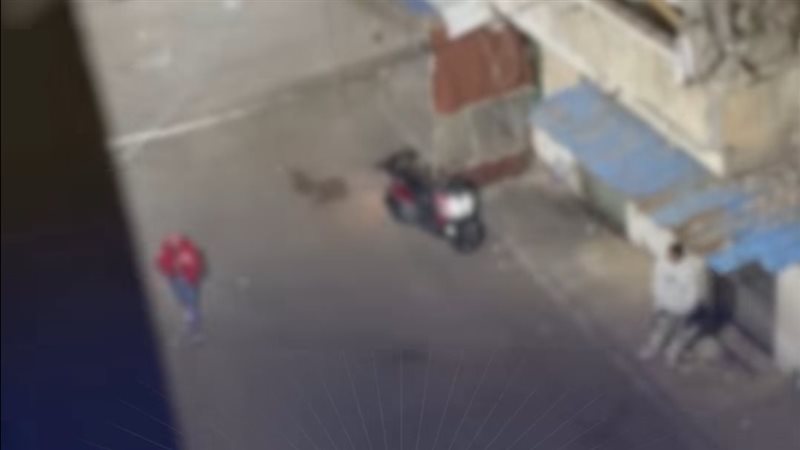الواقعة 