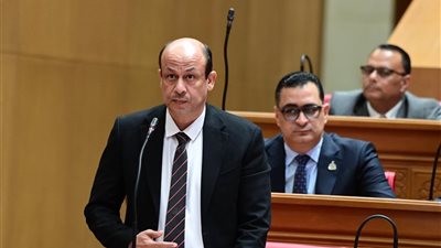 البيومي: التعاون الزراعي المشترك مع أفريقيا ضرورة لتعزيز الأمن الغذائي المصري