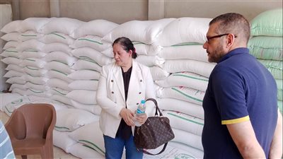 تموين القليوبية يضبط سجائر مهربة مجهولة المصدر ببنها وطن نخالة غيرمعلوم المصدر