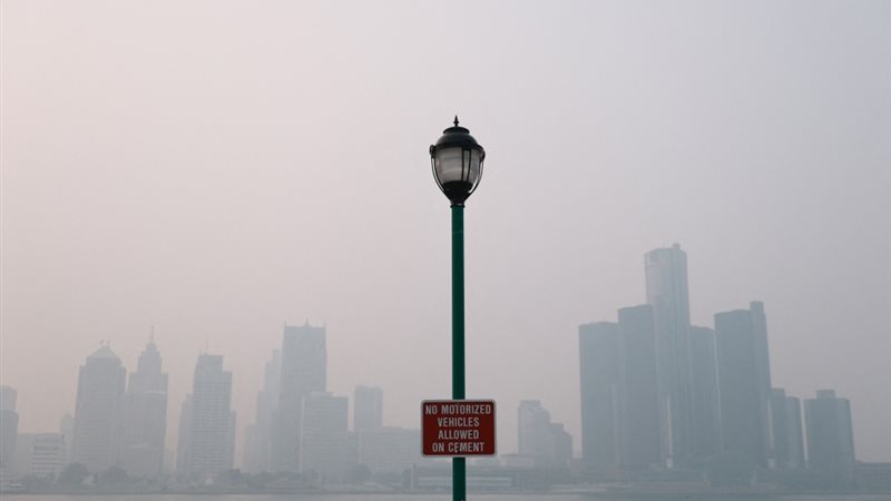 حرائق الغابات