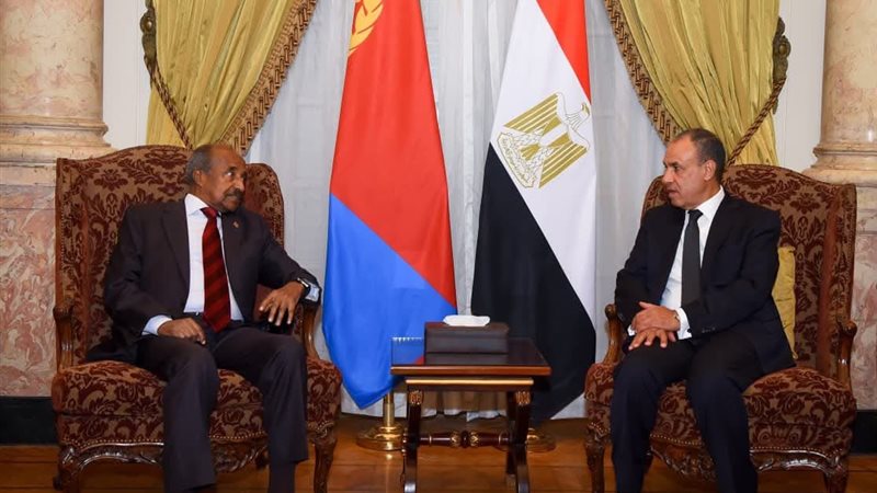 وزيرا خارجية مصر