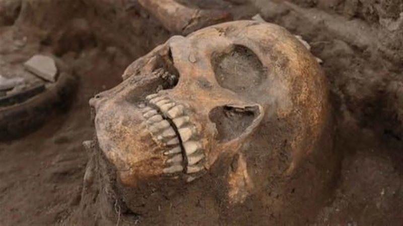 صورة من المقبرة المكتشفة