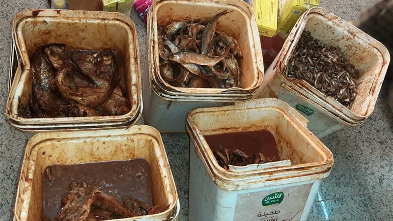 المضبوطات 