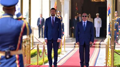 الرئيس السيسي يؤكد ضرورة إعادة إعمار غزة وإدخال المساعدات الإنسانية