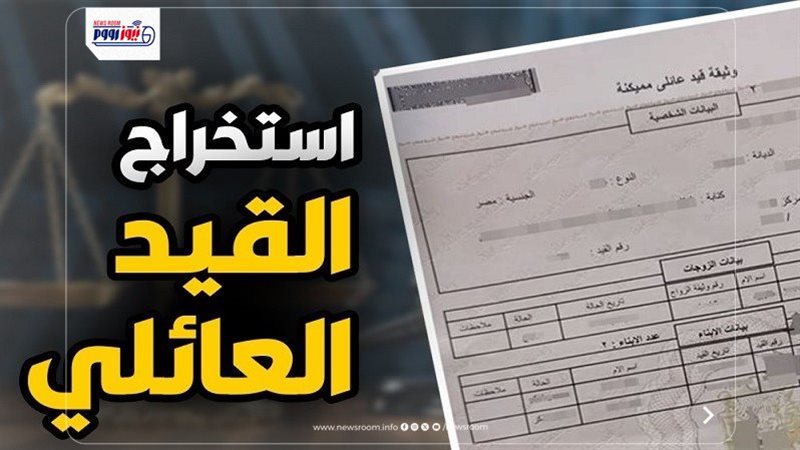 استخراج بيانات القيد