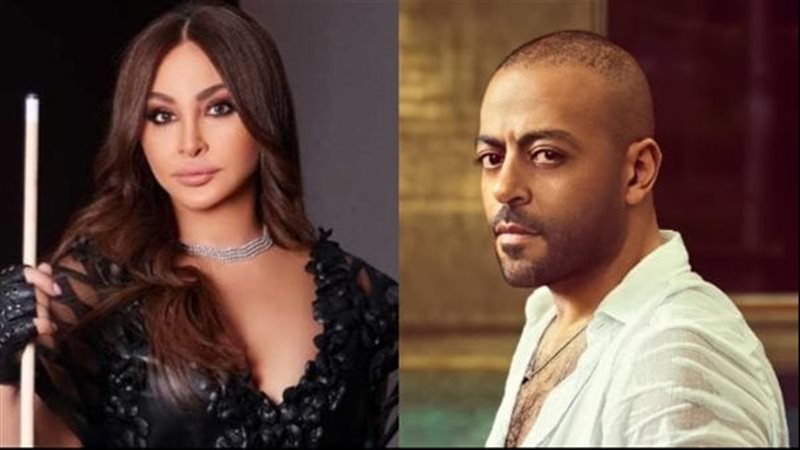 تامر عاشور واليسا