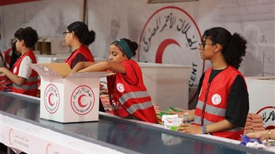 تعاون بين «الطفولة والأمومة» و«الهلال الأحمر» لنشر ثقافة السلامة بين الأطفال