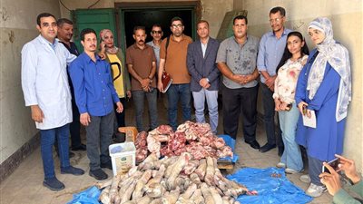 ضبط 250 كيلو جرامًا من اللحوم غير الصالحة للاستهلاك الآدمي بأحد المطاعم بسوهاج