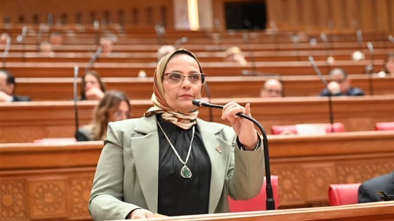 النائبة نجلاء العسيلي