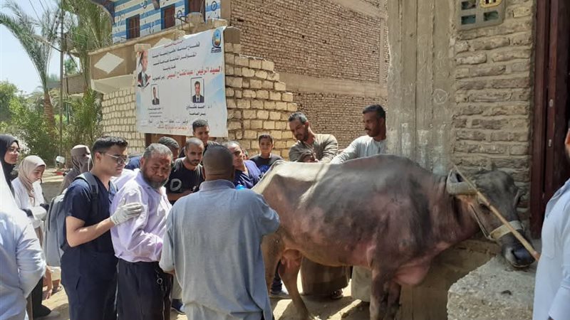 قافلة بيطرية