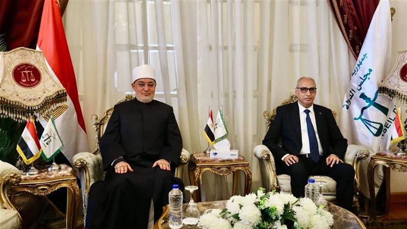 مفتي الجمهورية
