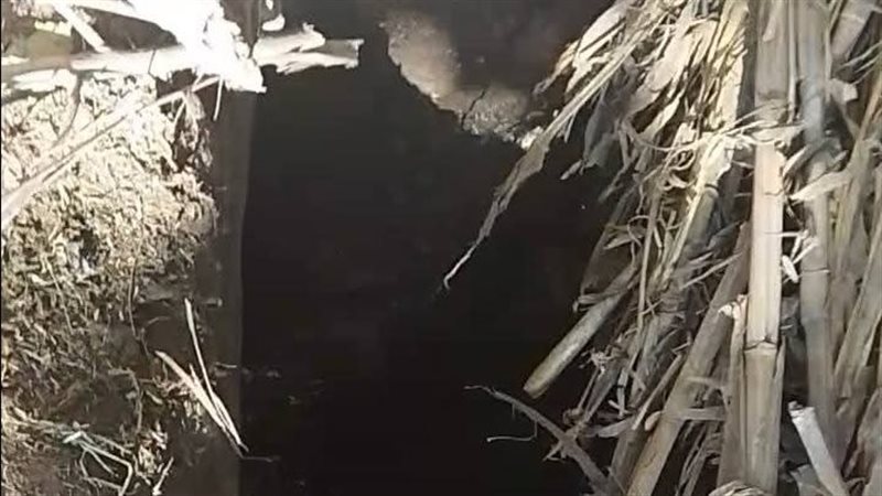 تعالى بطا يستغيثون