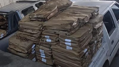 ضبط 1800 كجم سردين منتهي الصلاحية و445 بطاقة تموينية وتحرير أكثر من 100 محضر