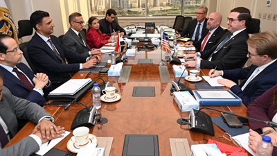 وزير الصناعة يبحث مع مسؤولة أمريكية تعزيز التعاون ونقل التكنولوجيا