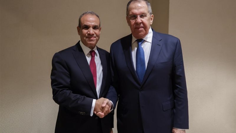 وزيرا خارجية مصر