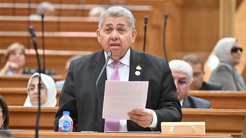 الدكتور أشرف الشيحي