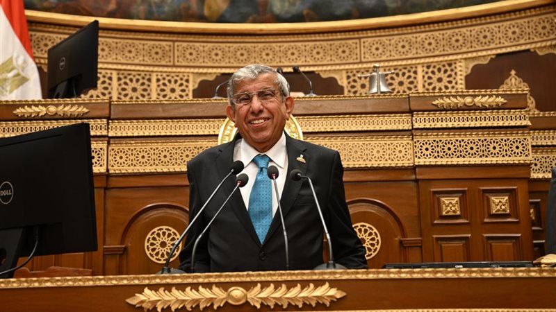 النائب علاء عبد النبي