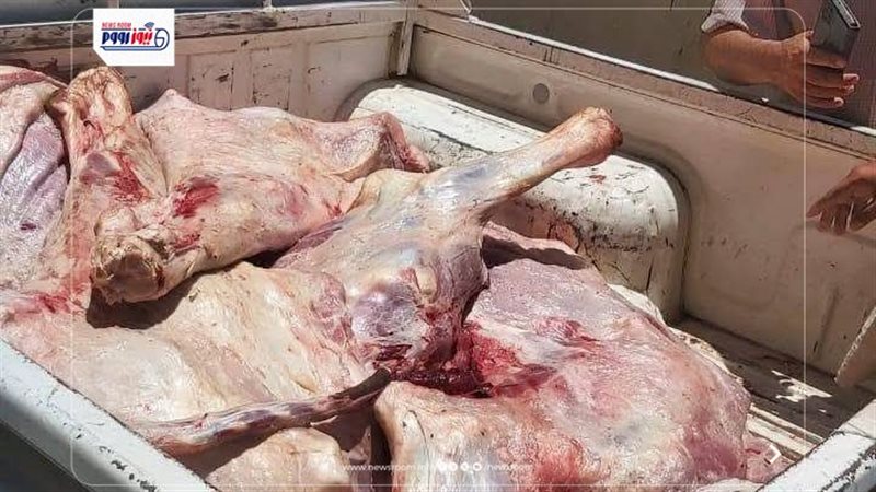 حملات تفتيشية بالمنيا