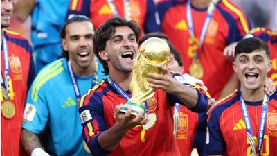 «أعيدوا نهائي كأس العالم».. أكثر من 61 ألف توقيع على عريضة أرجنتينية