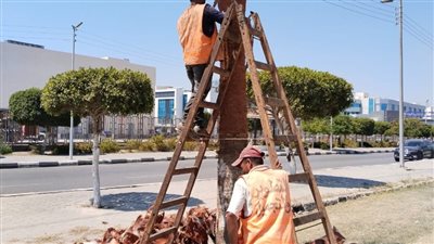 جهاز التطوير والتجميل يواصل رفع كفاءة وصيانة ميادين وحدائق الإسماعيلية