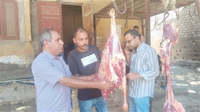 محافظ أسيوط: حملات بيطرية مكثفة تضبط لحومًا غير صالحة للاستهلاك الآدمي 