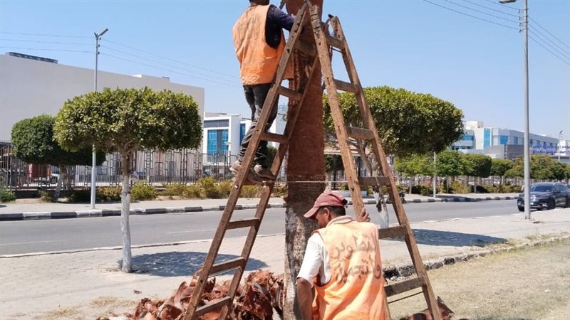 جهاز التطوير والتجميل