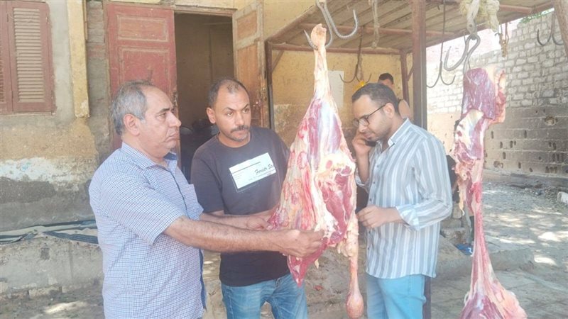 خلال الحملة 