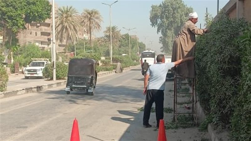 خلال الحملة 