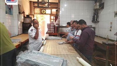 حملة بيئية على مصانع الحلويات الجافة بمدينة الفيوم