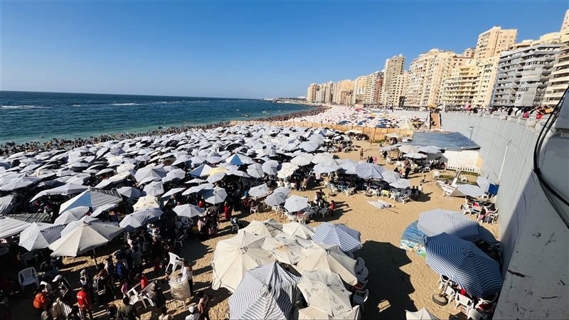 شواطئ الإسكندرية