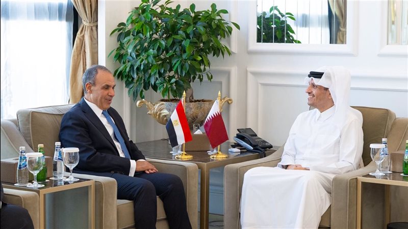 وزيرا خترجية مصر